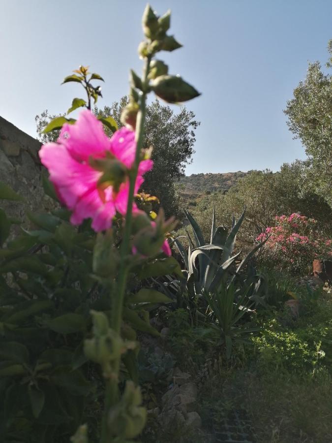 Hotel Arcadia Eressos Esterno foto