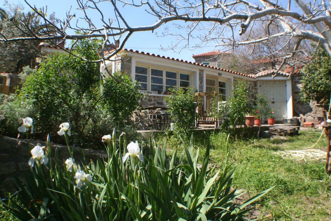 Hotel Arcadia Eressos Esterno foto